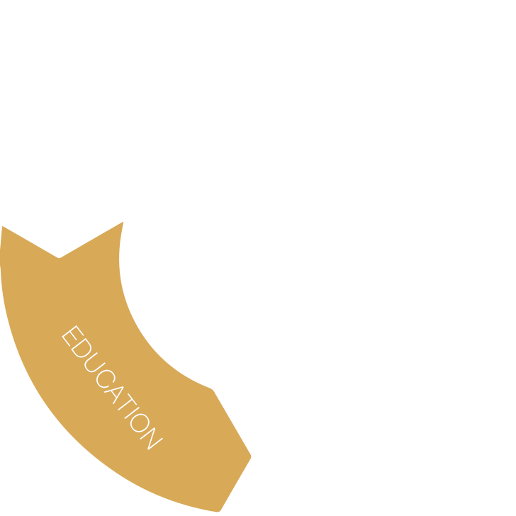 圆环3.png
